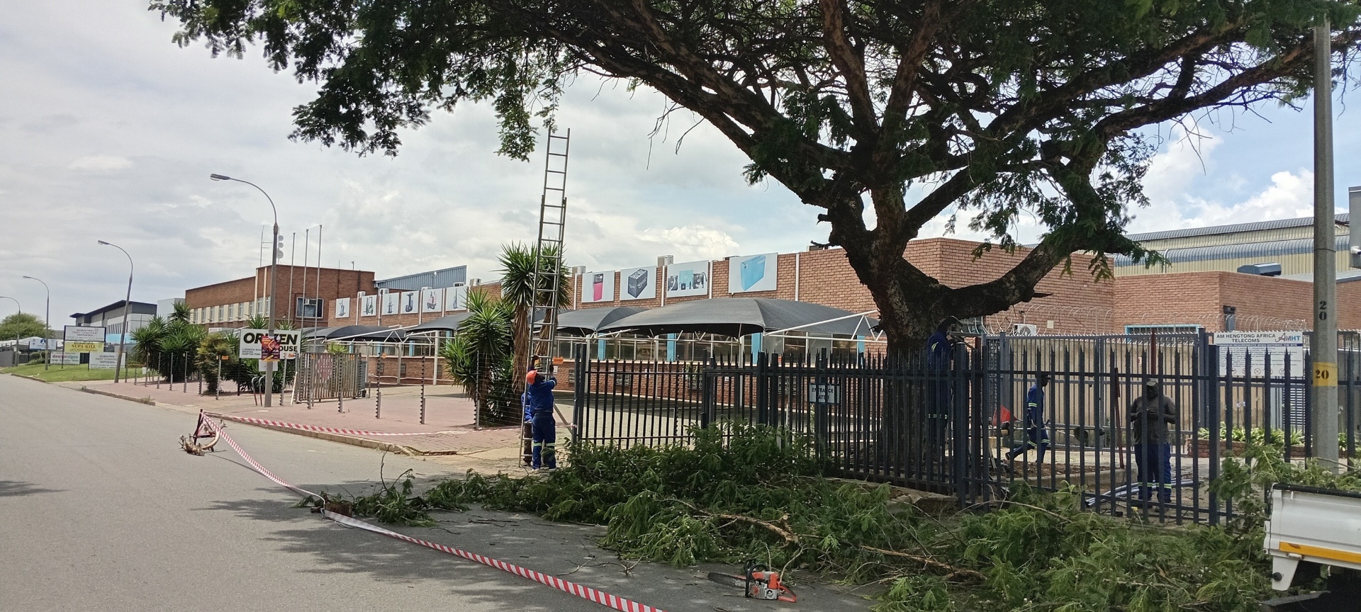 Commercial tree felling on industrial premises