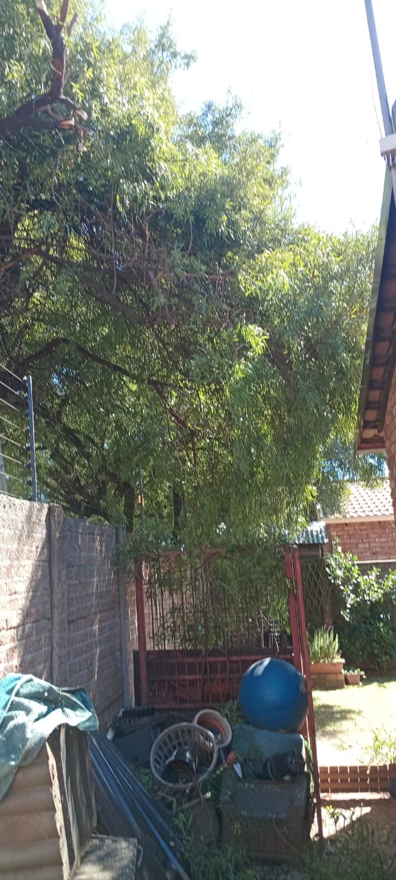 Tree pressing on an electric fence before clearing — Eden Glen