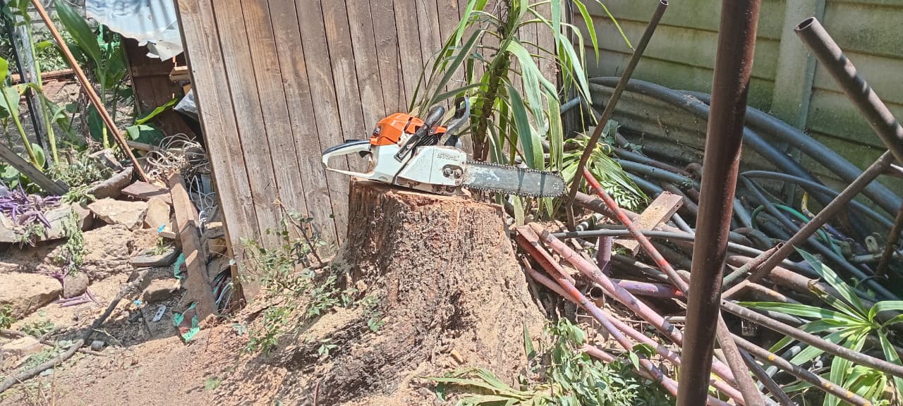 Stump grinding and removal