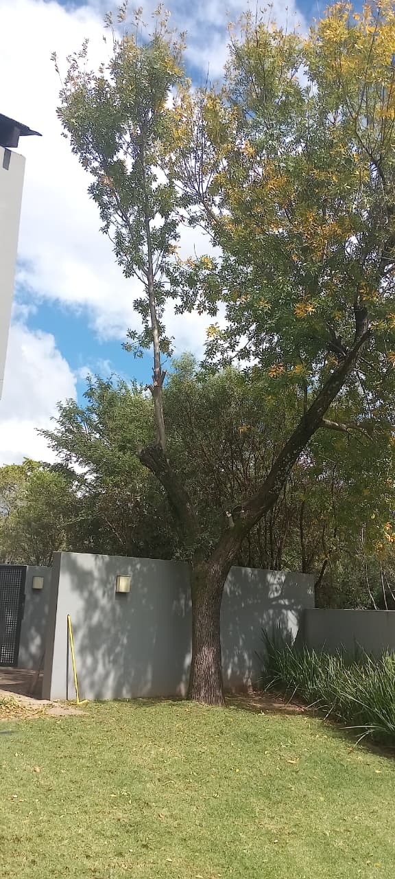 Garden after a full trim and clean-up in Waterfall