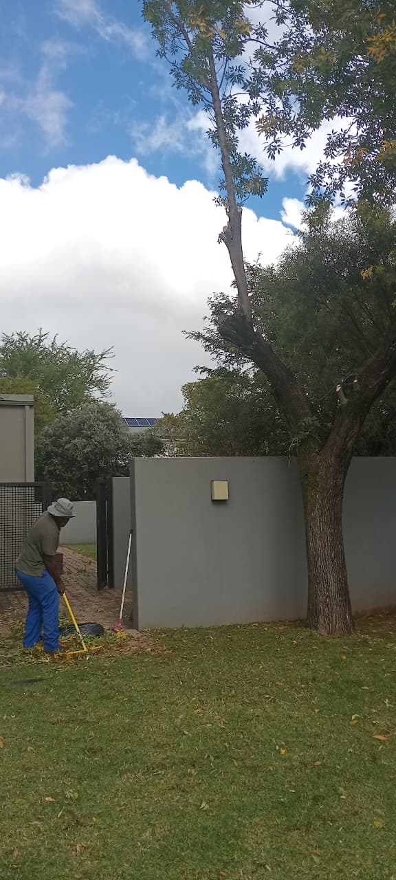 Crew cleaning up branches and refuse in Waterfall