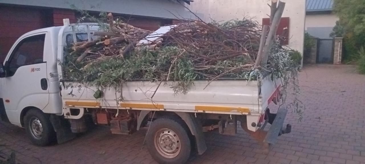 Refuse and chip removal after tree work in Waterfall